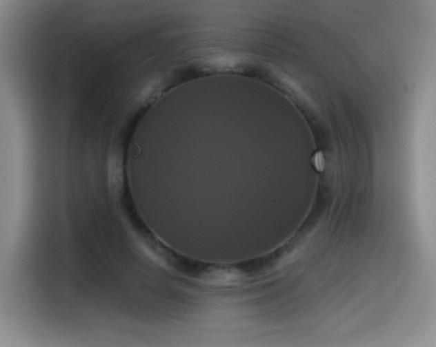 X0000114580642200910191524