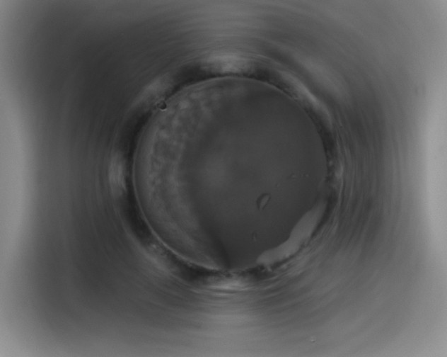 X0000114580643200910191524