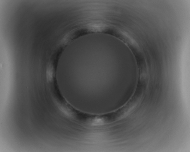 X0000114580647200910191524