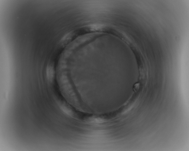 X0000114580648200910191524