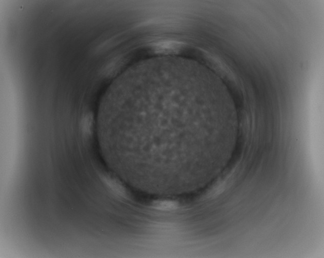 X0000114580649200910191524