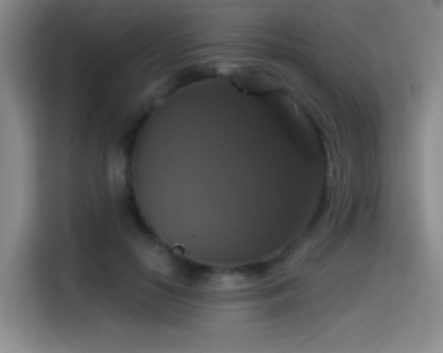 X0000114580650200910191524