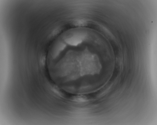 X0000114580652200910191524