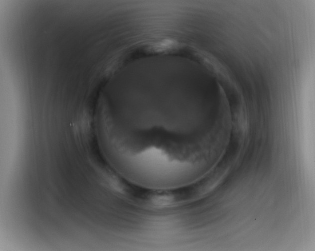 X0000114580653200910191524