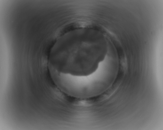 X0000114580657200910191524