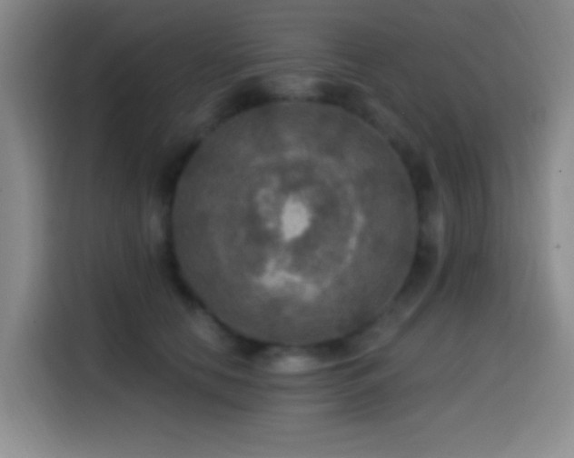 X0000114580658200910191524