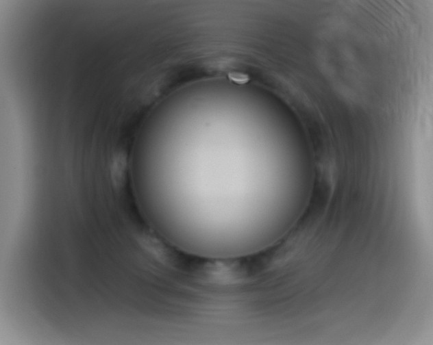 X0000114580660200910191524