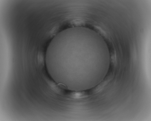 X0000114580662200910191524