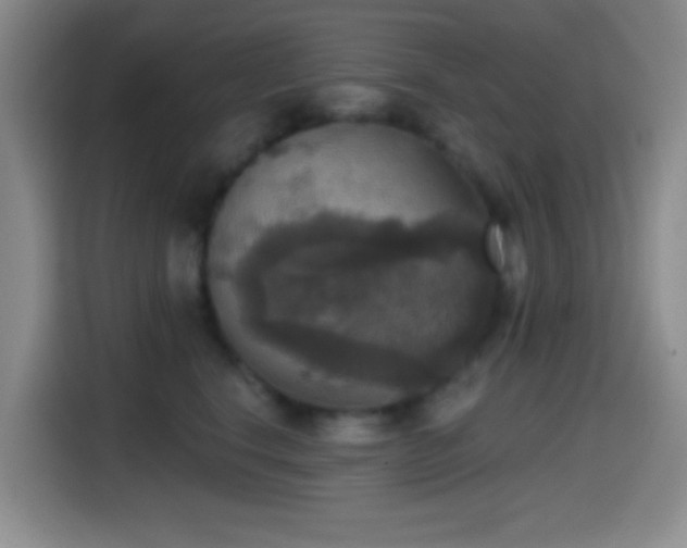 X0000114580664200910191524