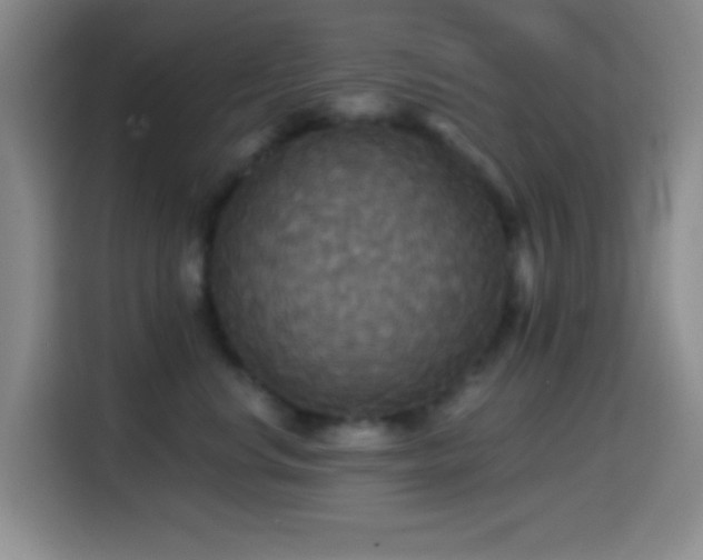 X0000114580668200910191524