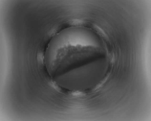 X0000114580669200910191524