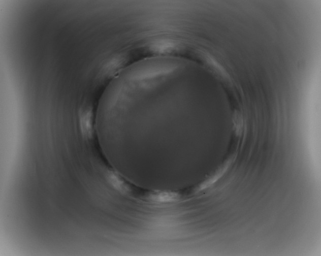 X0000114580670200910191524