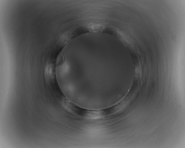 X0000114580671200910191524