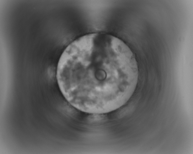 X0000114580672200910191524