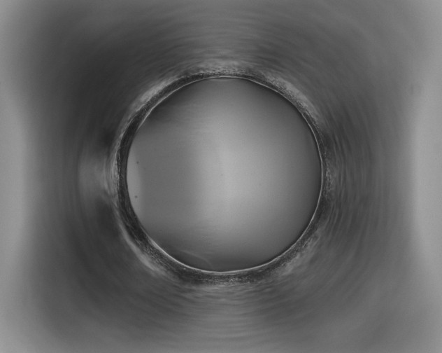 X0000114580674200910191524