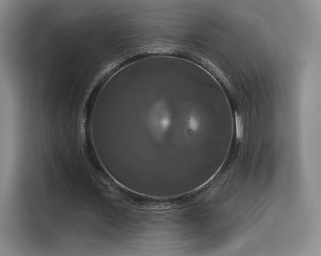 X0000114580675200910191524