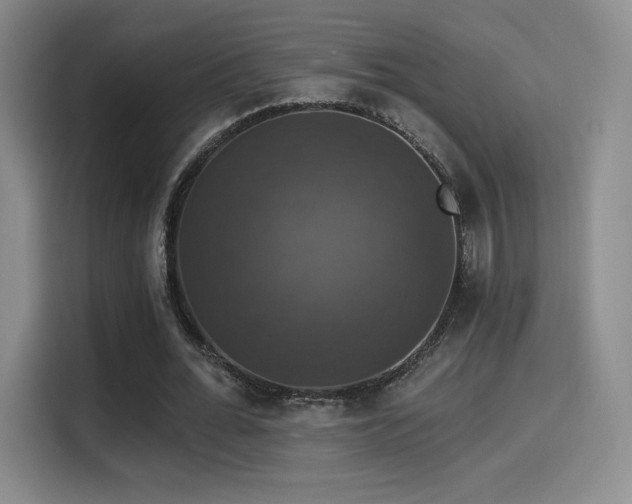 X0000114580676200910191524