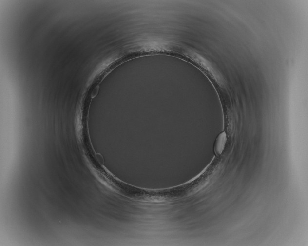 X0000114580677200910191524