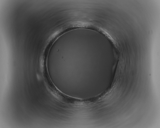 X0000114580679200910191524