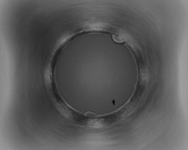 X0000114580680200910191524