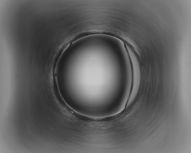 X0000114580681200910191524