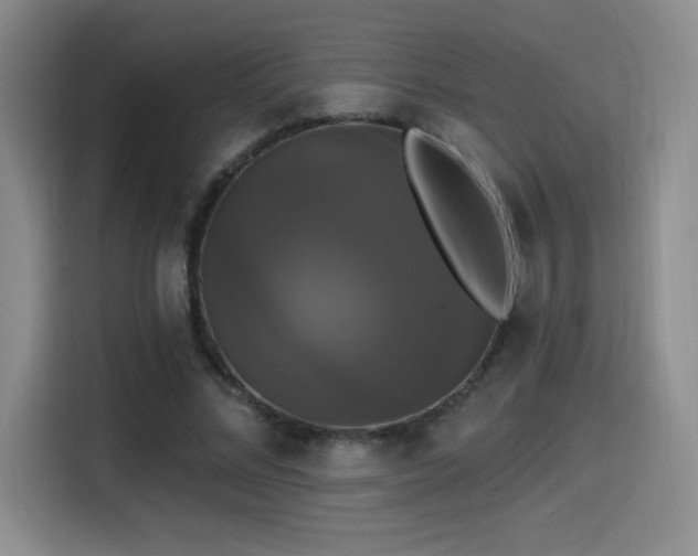 X0000114580684200910191523