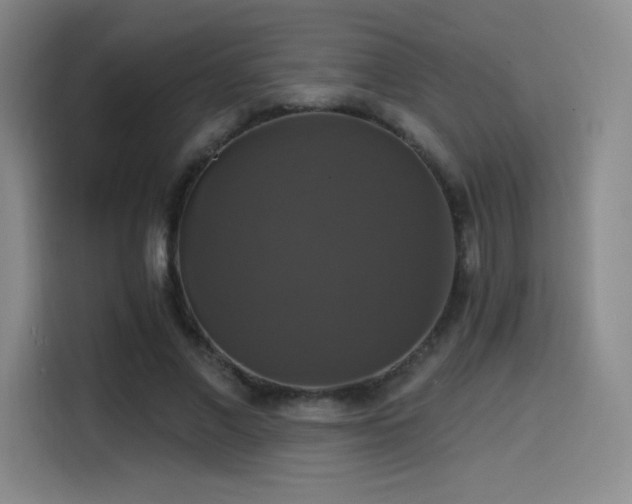 X0000114580685200910191523