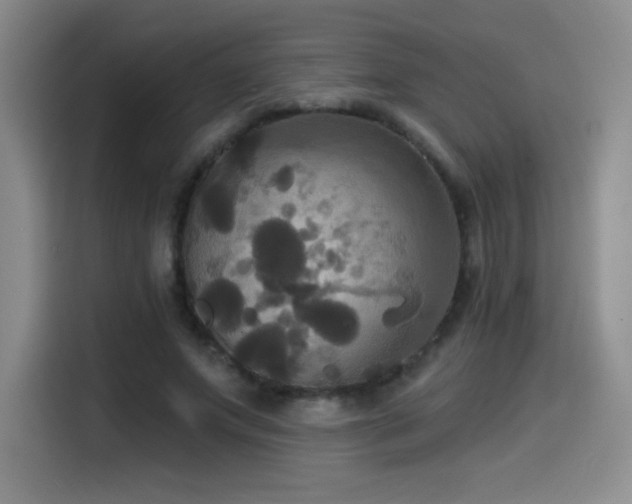 X0000114580687200910191523