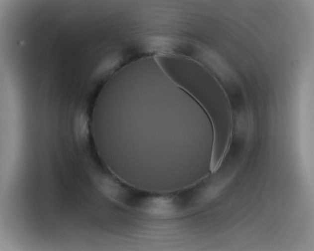 X0000114580692200910191523