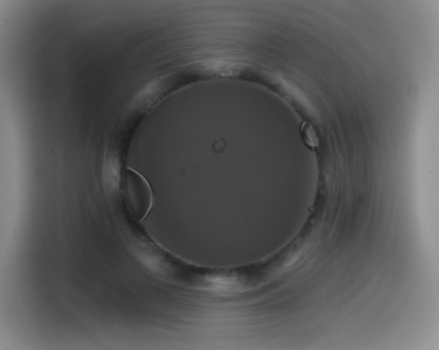 X0000114580693200910191523