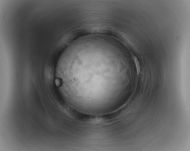 X0000114580695200910191523