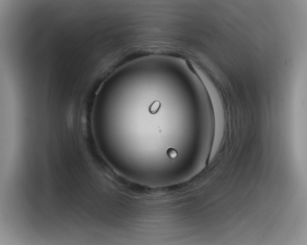 X0000114580696200910191523