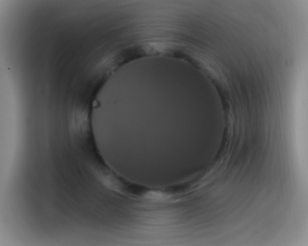 X0000114580699200910191523