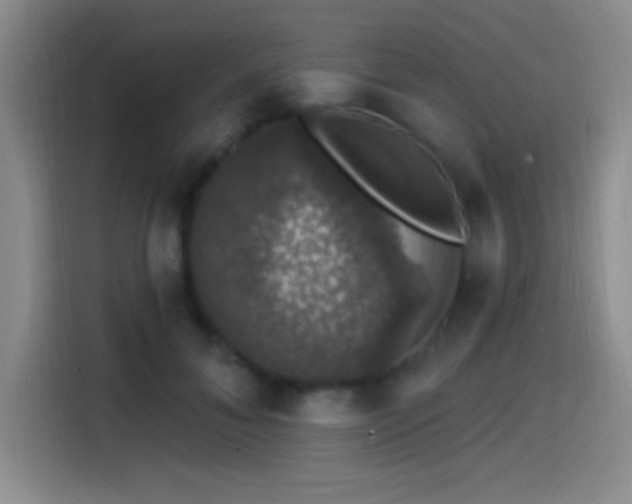 X0000114580700200910191523