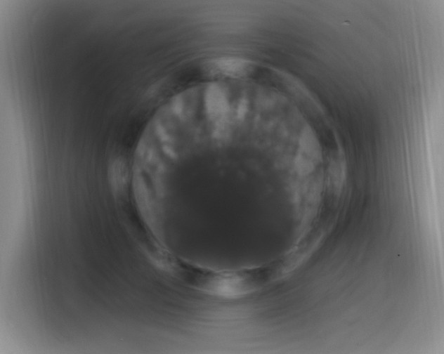 X0000114580701200910191523