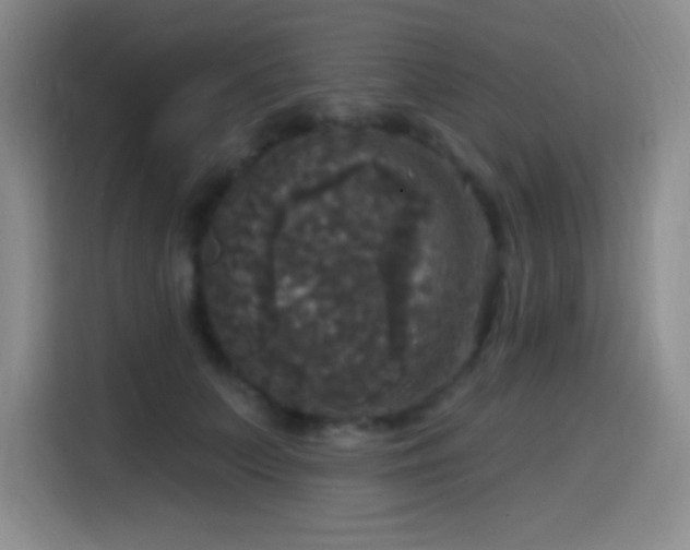 X0000114580703200910191523