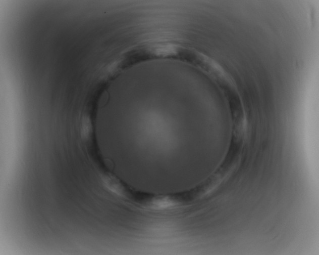 X0000114580704200910191523