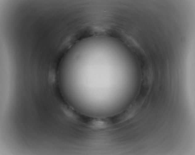 X0000114580706200910191523