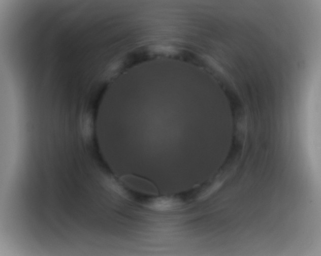 X0000114580708200910191523