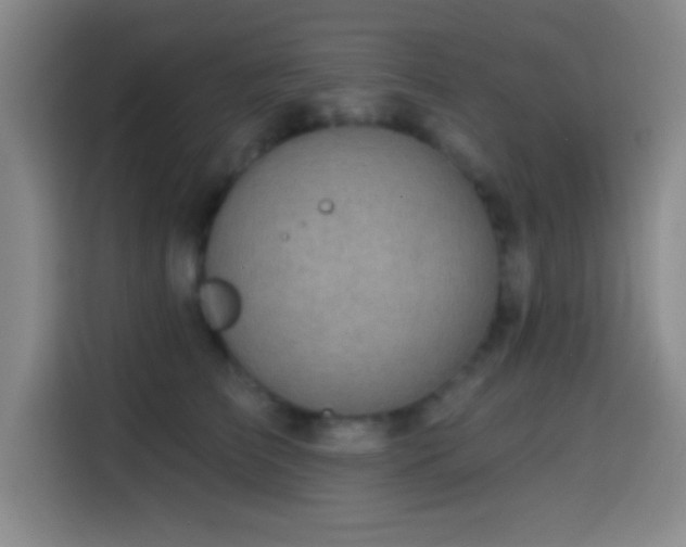 X0000114580709200910191523