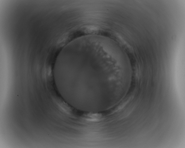 X0000114580711200910191523