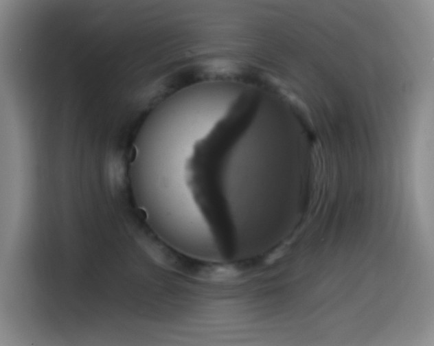 X0000114580715200910191523