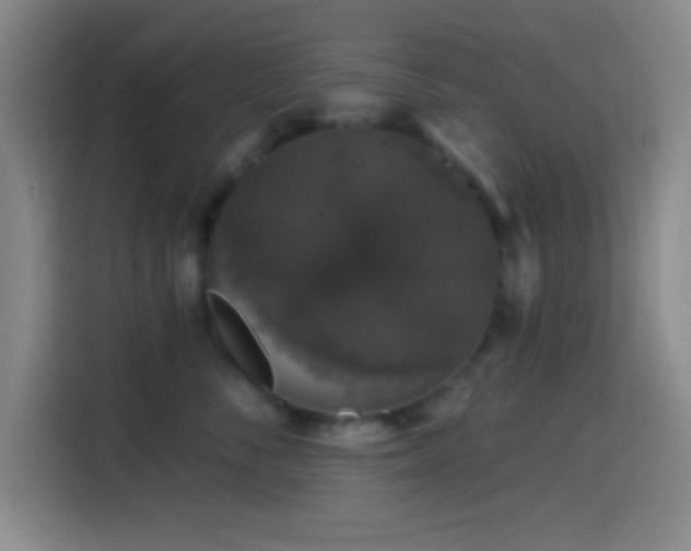 X0000114580716200910191523