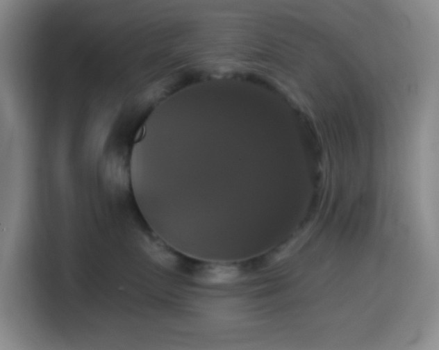 X0000114580719200910191523