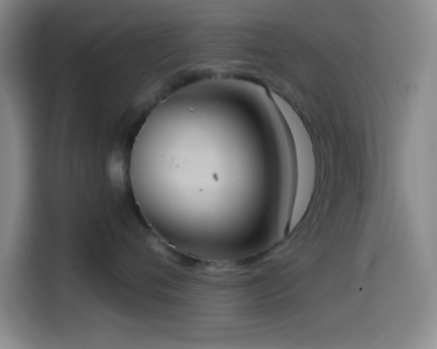 X0000114580720200910191523