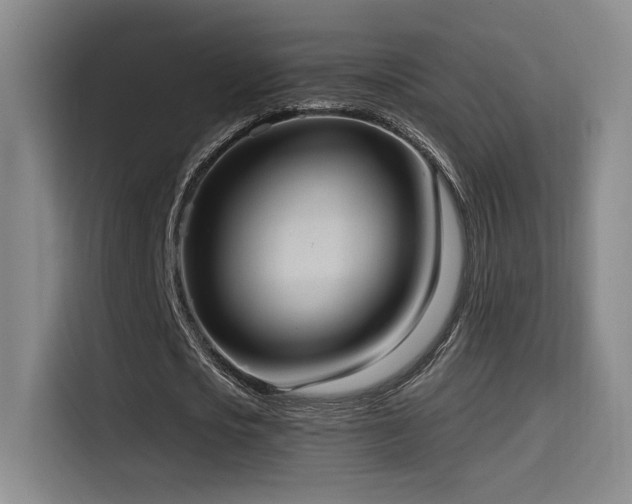 X0000114580721200910191522