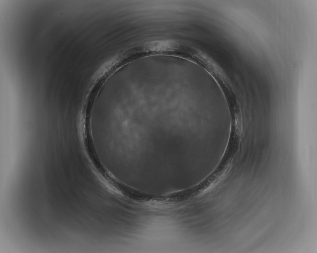 X0000114580725200910191522