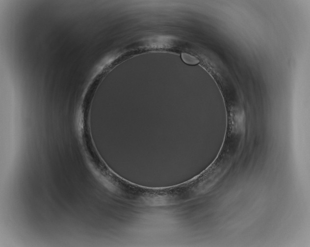 X0000114580726200910191522