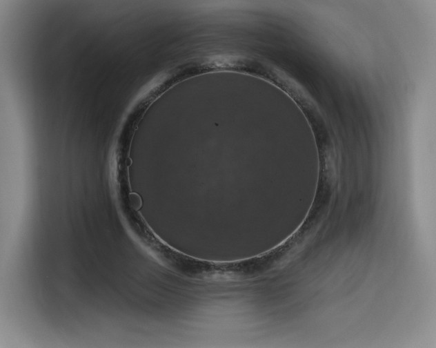 X0000114580730200910191523