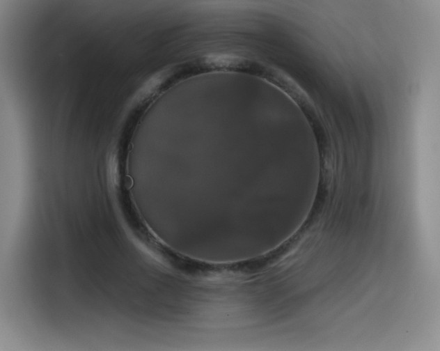 X0000114580734200910191523